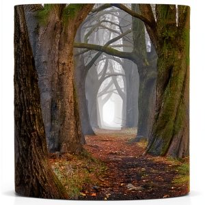 Horror Kindle Collection by MRJ-0